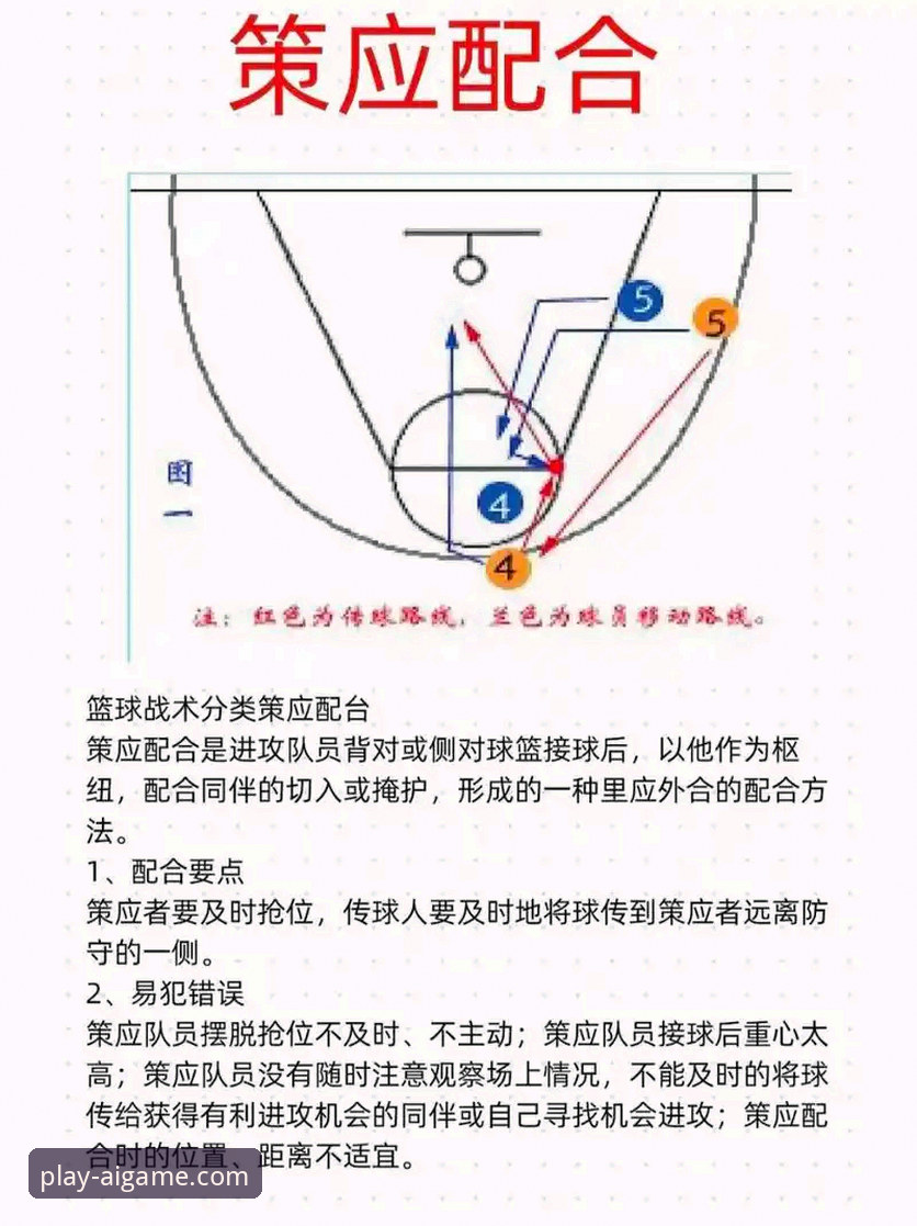 从中国女篮战术调整看团队策略：一场比赛的实用分析指南